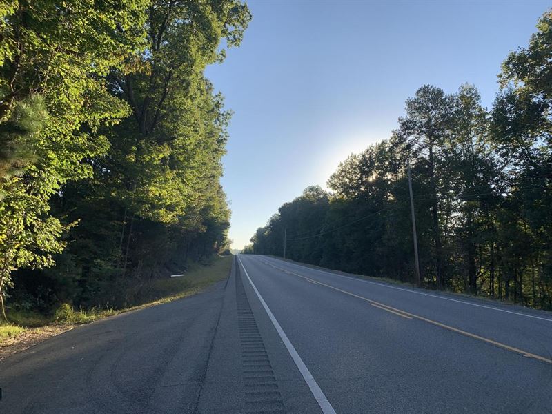 Buttahatchee River Tract : Hamilton : Marion County : Alabama