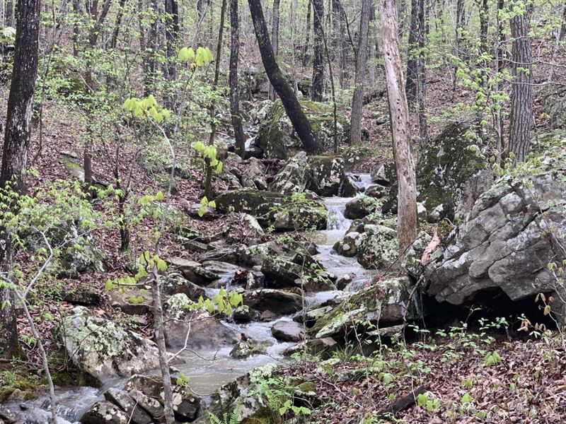 Buffalo River Hide Away 20 : Deer : Newton County : Arkansas