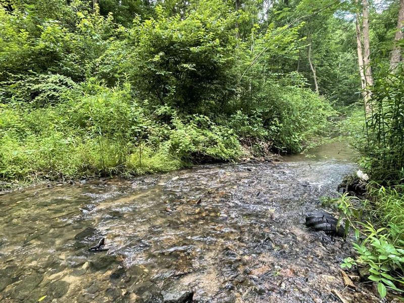 10.14 Acres Off Zacks Fork Road : Lenoir : Caldwell County : North Carolina