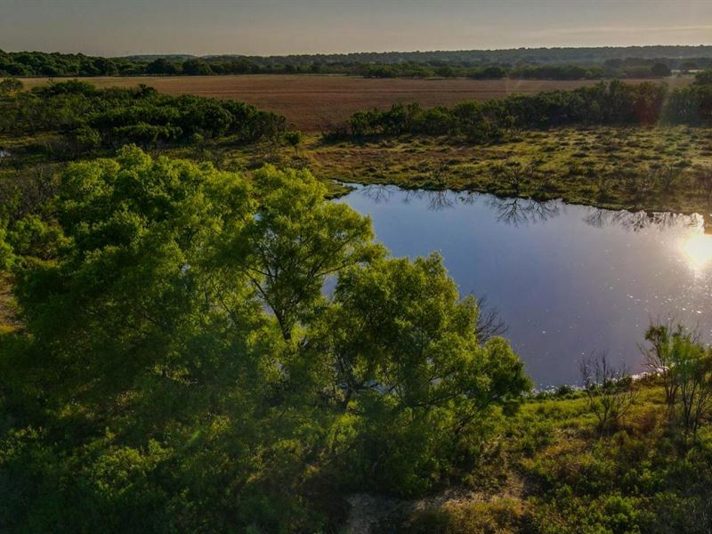 80 Acres in Markley TX : Markley : Young County : Texas