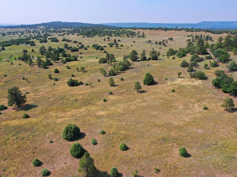Willow Way 40 : Chama : Rio Arriba County : New Mexico