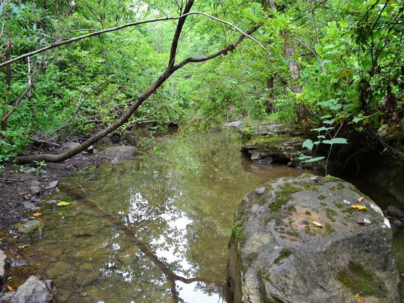 136 Acres with Creeks, Electric : Marshall : Searcy County : Arkansas
