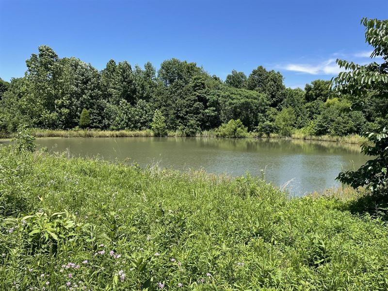 Belcher Rd. Fish Ponds : Taswell : Crawford County : Indiana