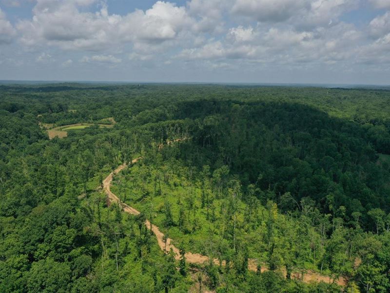 72.7 Acres of Prime Developement Po : Dover : Stewart County : Tennessee