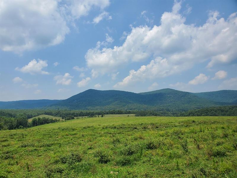 194.5 Acres in North Wilkesboro : North Wilkesboro : Wilkes County : North Carolina