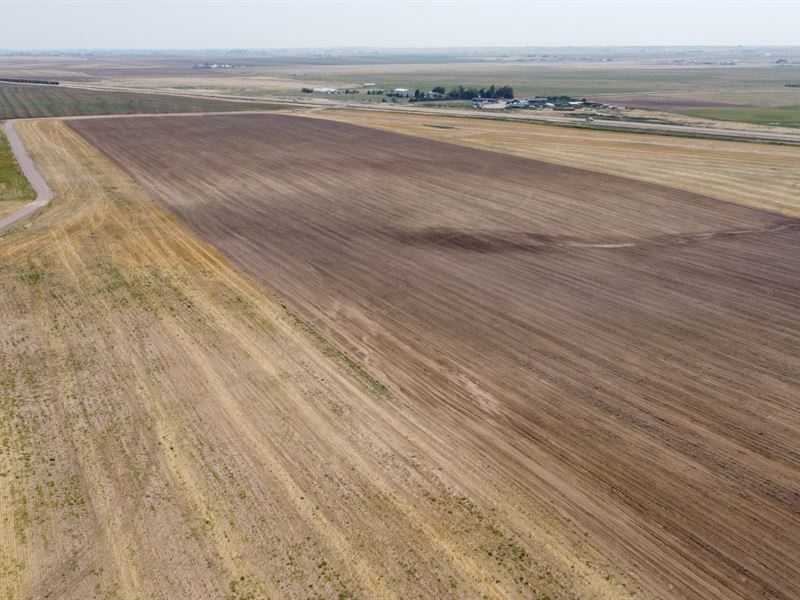 40 Acres in Nunn, Colorado : Nunn : Weld County : Colorado