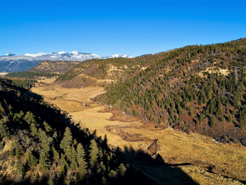 New Property : Mancos : La Plata County : Colorado