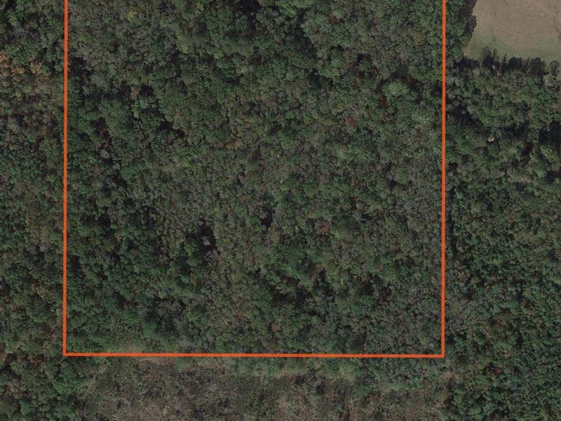 Hopewell Keys Rd : Fulton : Itawamba County : Mississippi