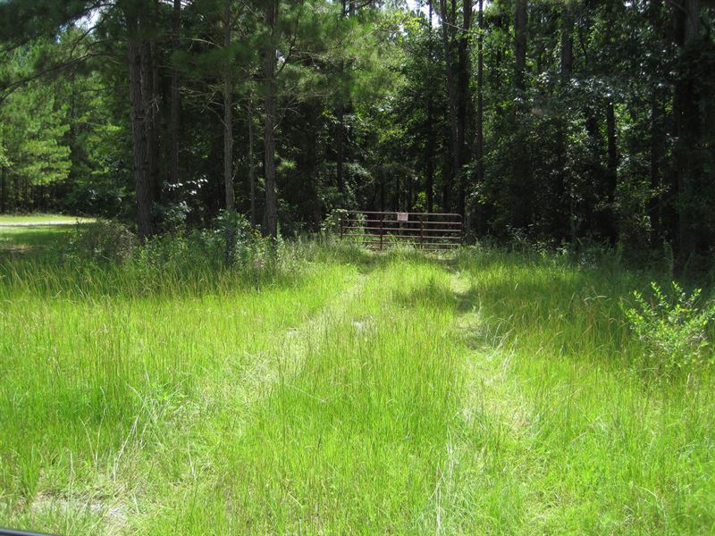 Recreational Land in Jones County : Jones County : Jones County : Georgia