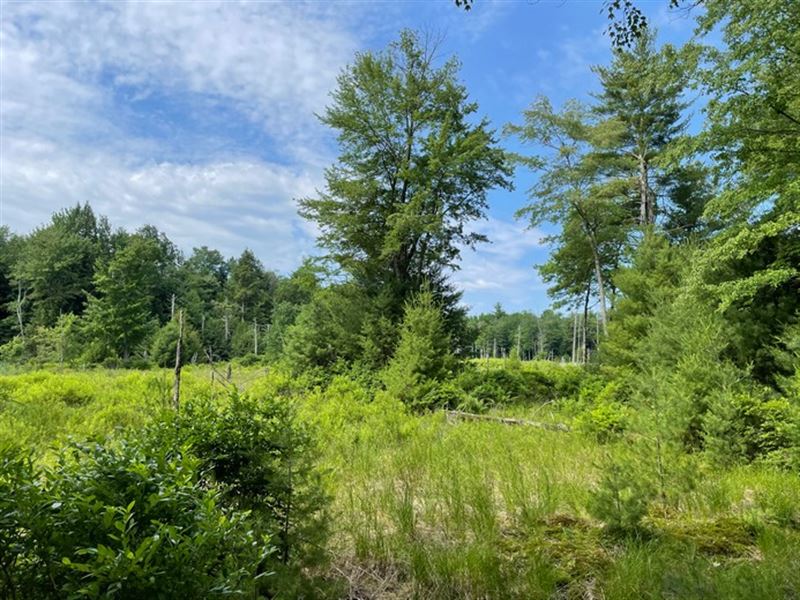 Building Lot Near Oneida Lake : Vienna : Oneida County : New York