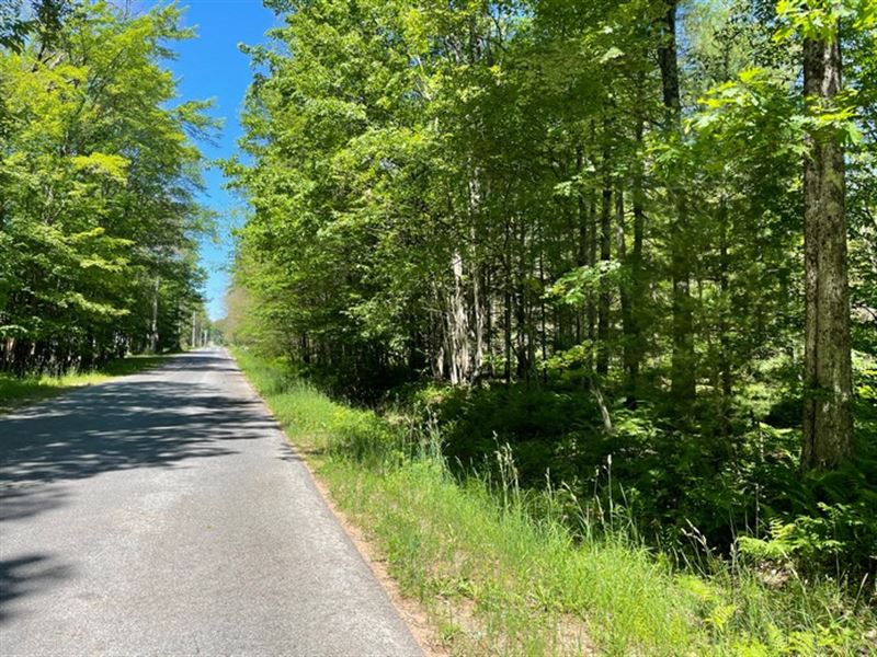 Oneida Lake Area, Lots of Potential : Vienna : Oneida County : New York