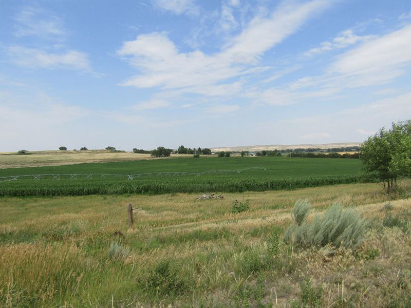 Staman Irrigated Farm : Scottsbluff : Scotts Bluff County : Nebraska