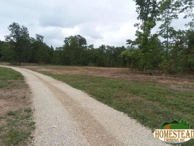 Clearing in Woods, Magnificent View : Alton : Oregon County : Missouri