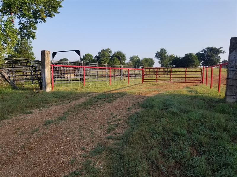 Got it All Water, Woods, Grass : Hugo : Choctaw County : Oklahoma