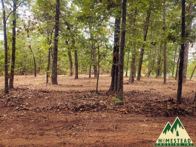 Spacious Clearing, Picturesque View : Alton : Oregon County : Missouri
