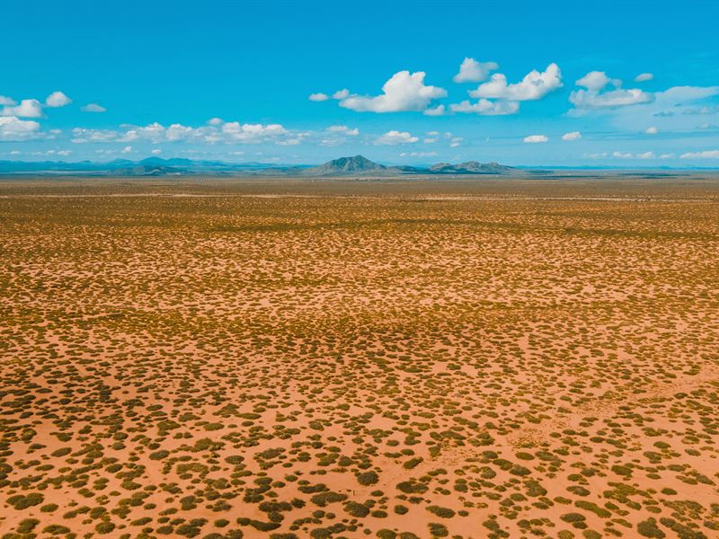 29.84 Ac Parcel in Luna County, NM : Deming : Luna County : New Mexico