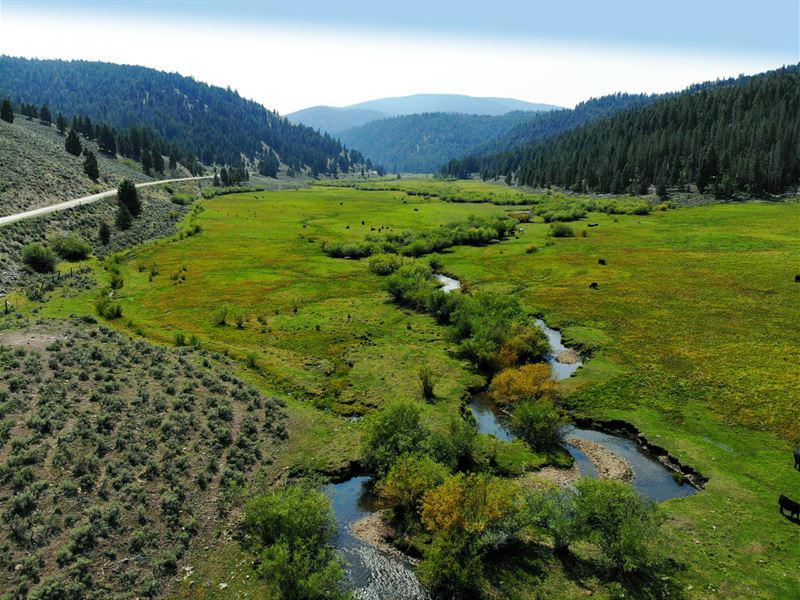 Panther Creek Off Grid Retreat : Salmon : Lemhi County : Idaho