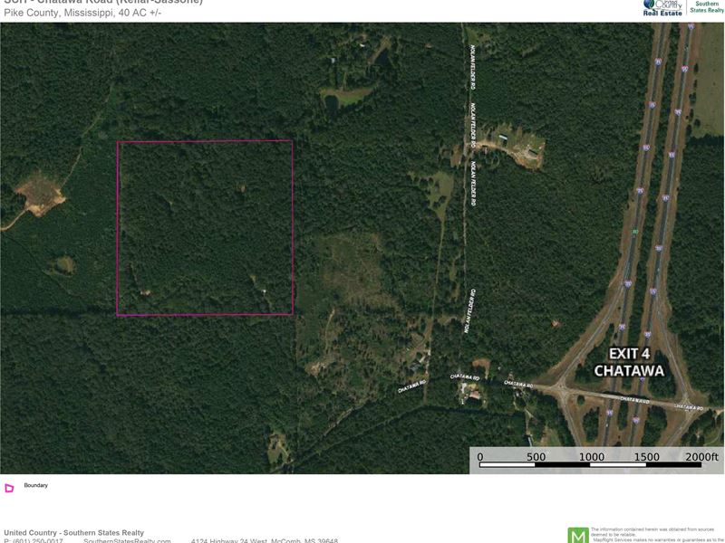 40 Acre Timber & Recreational : Magnolia : Pike County : Mississippi