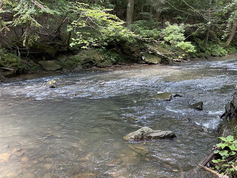 Mountain Views, Streams, & More : Pikeville : Bledsoe County : Tennessee