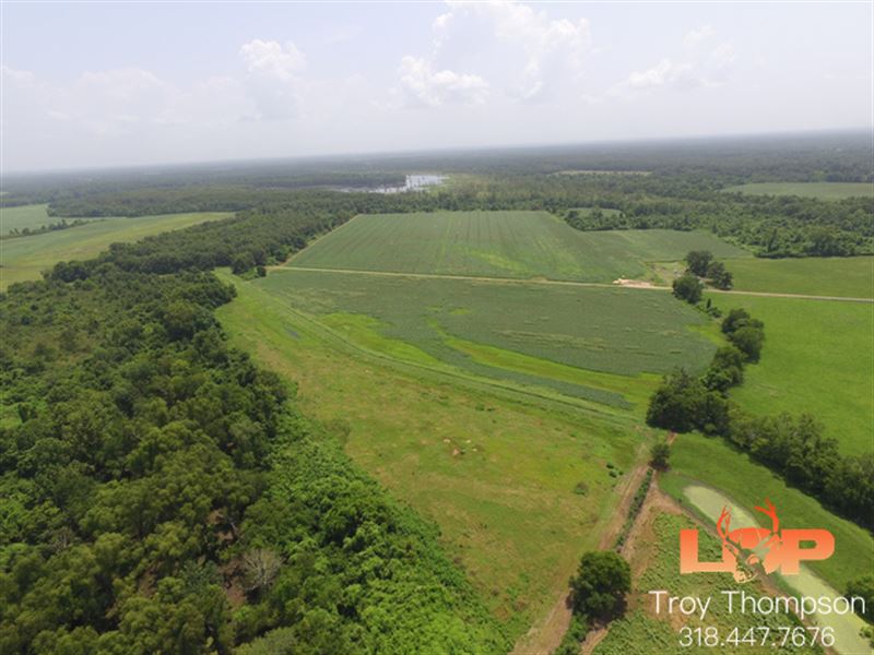 180 Acres Farm, Pasture, Hunting : Marksville : Avoyelles Parish : Louisiana
