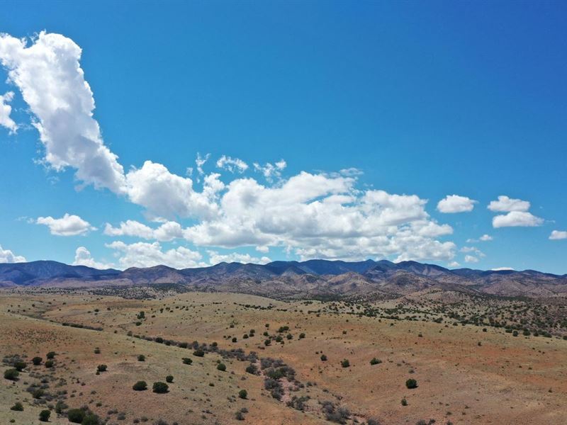 Big Buck Road : San Antonio : Socorro County : New Mexico