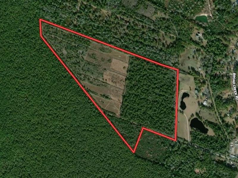Reduced, 72.21 Acres of Hunting LA : New Bern : Craven County : North Carolina
