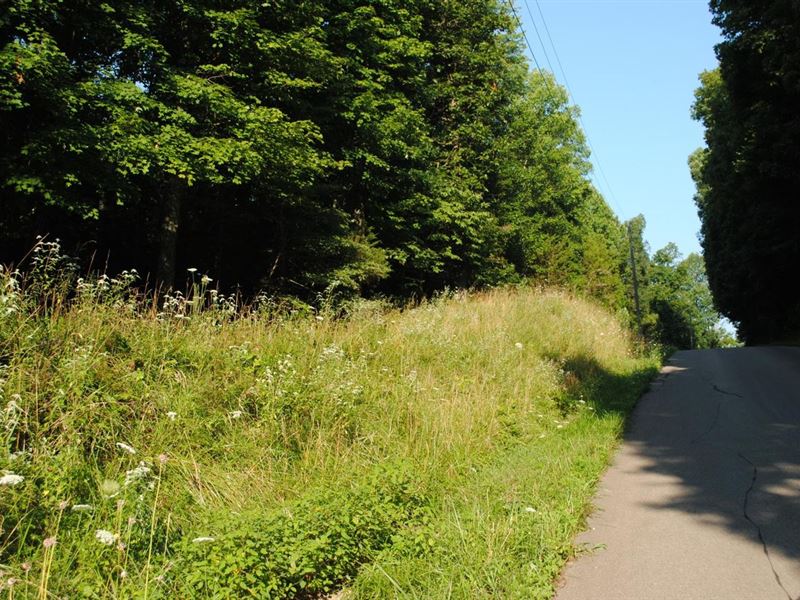 40 Acres Land for Sale, Jackson Co : Freetown : Jackson County : Indiana