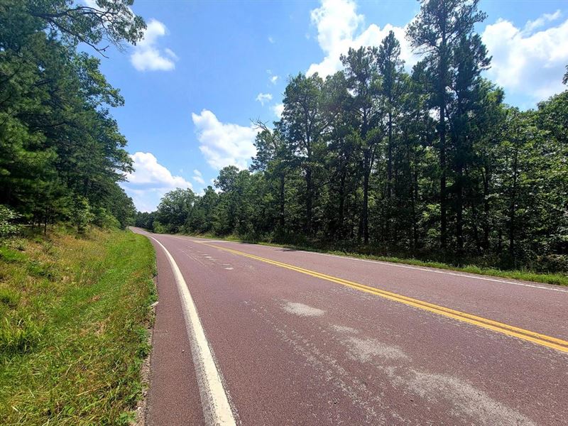69 Acres for Sale in Bunker, Missou : Bunker : Reynolds County : Missouri