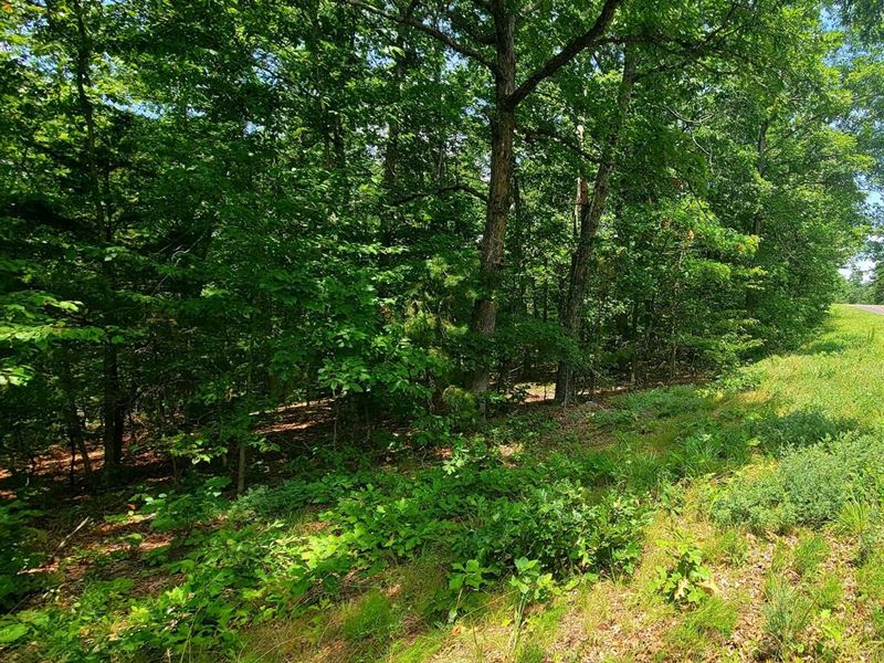 257 Acres for Sale in Reynolds Coun : Bunker : Reynolds County : Missouri
