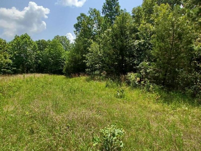 Surveyed Land for Sale : Birch Tree : Shannon County : Missouri