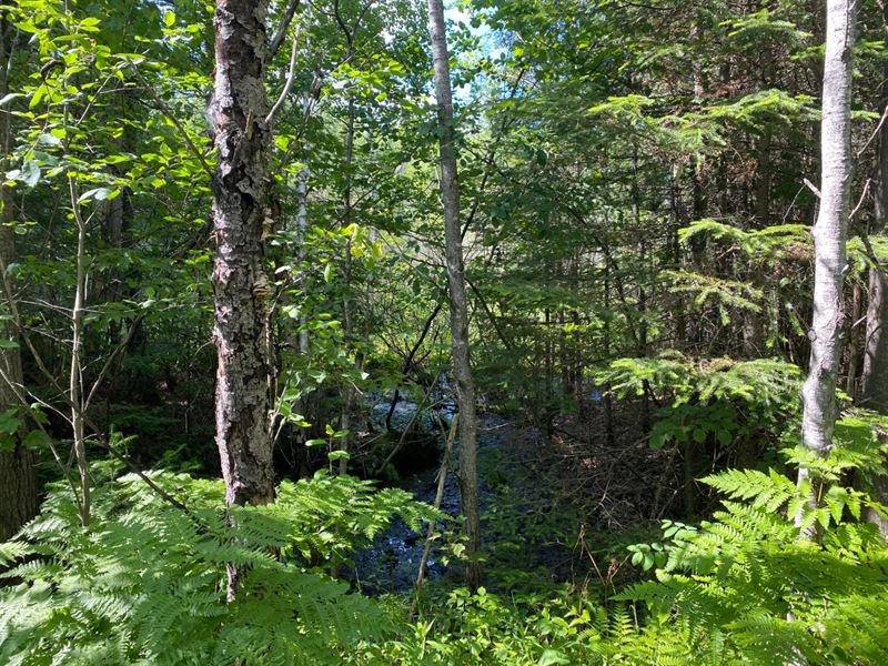 400 AC Minocqua Parcel : Minocqua : Oneida County : Wisconsin
