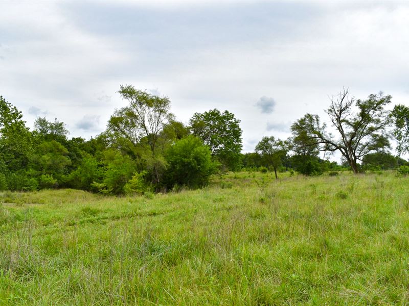 Jefferson County, KS Hunting Land : Perry : Jefferson County : Kansas