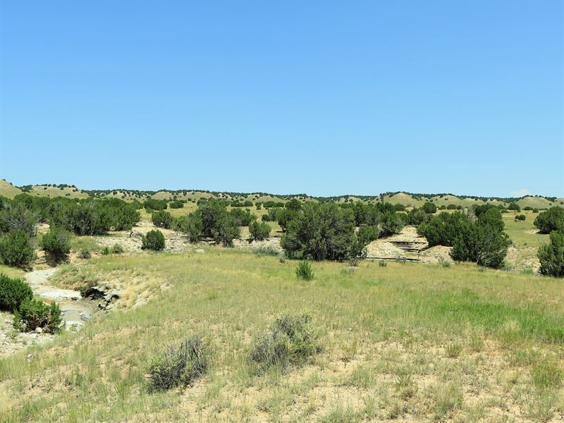 Stunning 37 Ac with Road Frontage : Trinidad : Las Animas County : Colorado