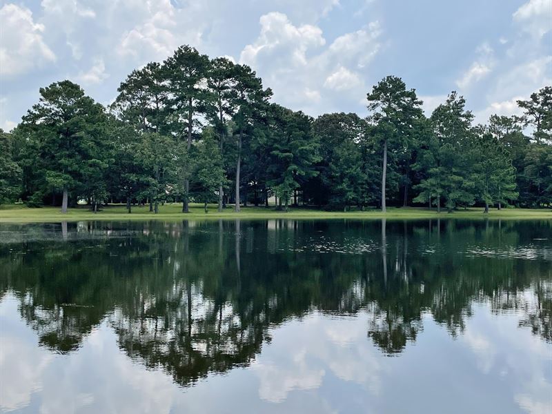Home & 19 Acres : Magnolia : Pike County : Mississippi
