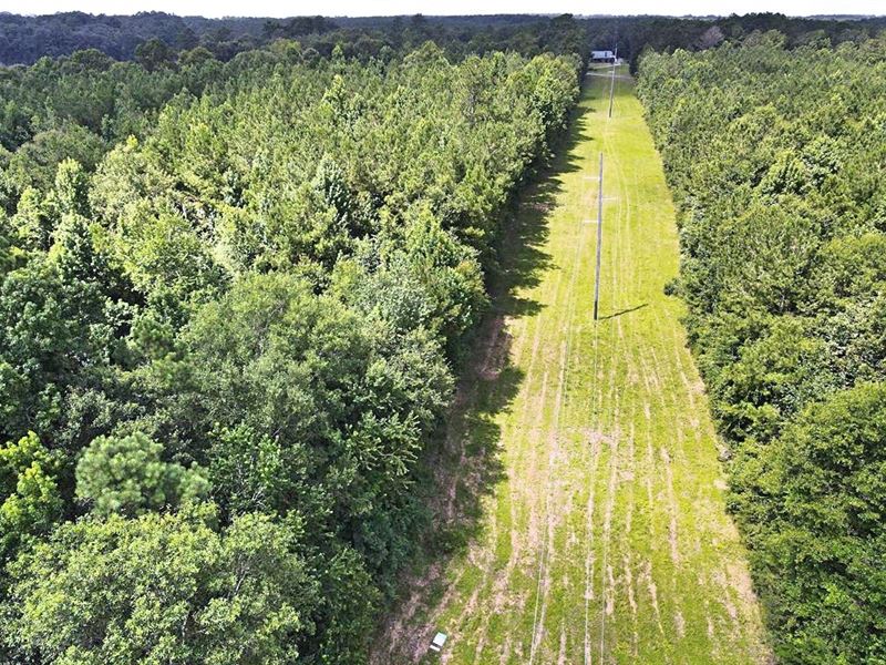 31 Acres Recreational Or Home : Osyka : Pike County : Mississippi