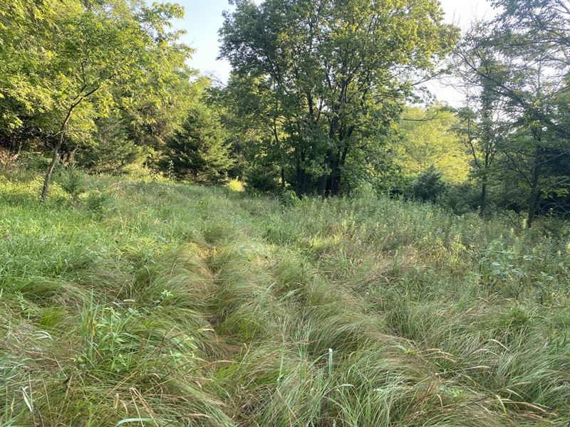 46 Acres of Recreational Hunting LA : Altoona : Wilson County : Kansas