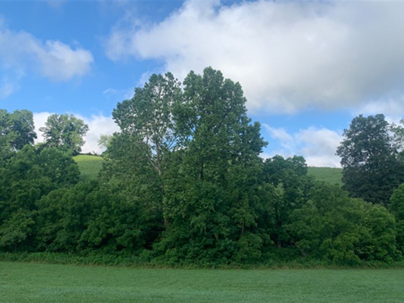 Ohio Land for Sale, Jackson County : Oak Hill : Jackson County : Ohio