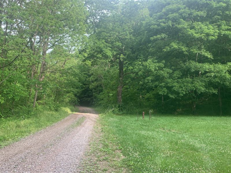 Ohio Land for Sale, Jackson County : Ray : Jackson County : Ohio