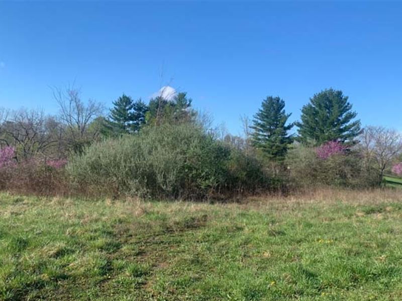 Ohio Land for Sale, Vinton County : Albany : Vinton County : Ohio