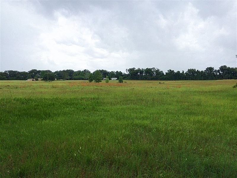 50+ Acres, Great Homesite : McAlpin : Suwannee County : Florida