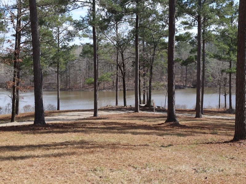Briarpatch Recreational Preserve : Equality : Coosa County : Alabama