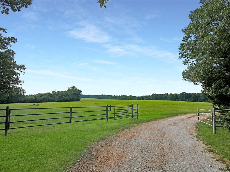 280 Acre Farm Gasconade River : Mountain Grove : Wright County : Missouri