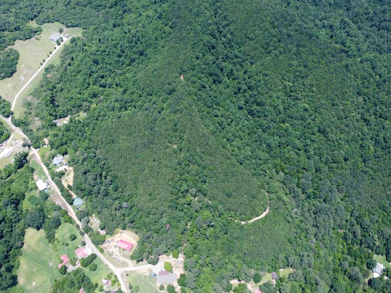 Cheap Homesite Land with A View : Cordova : Walker County : Alabama