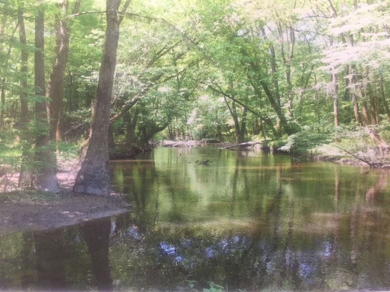 Outstanding Recreational Property : West Columbia : Lexington County : South Carolina