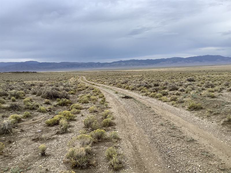 Ghost Town Nature Preserve Ranch : Dolly Varden : Elko County : Nevada