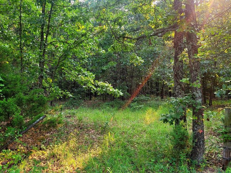 62 Acres with Bluff Springs Conserv : Stockton : Cedar County : Missouri