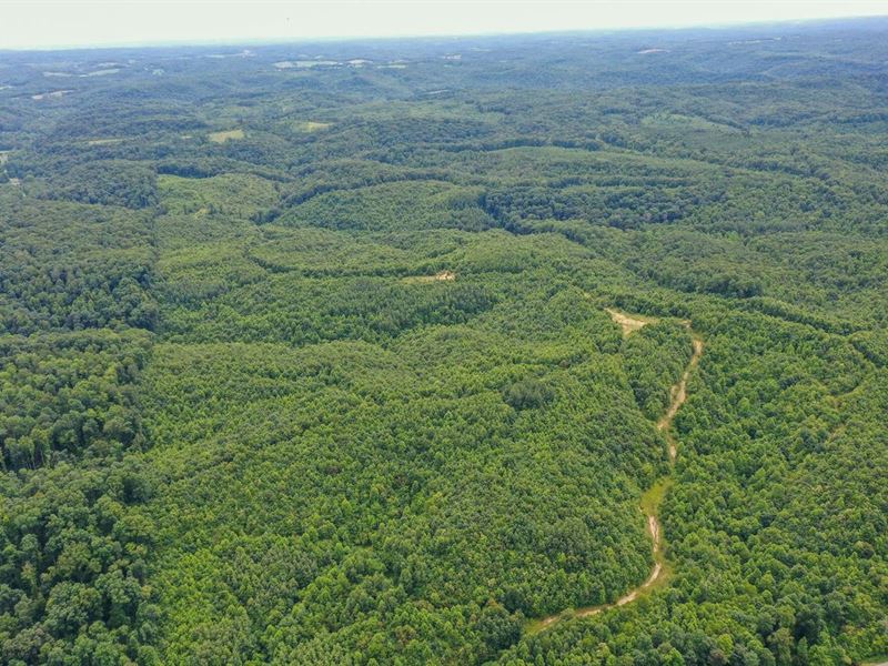 Ponetown Rd, 135 Acres, Vinton Co : Ray : Vinton County : Ohio