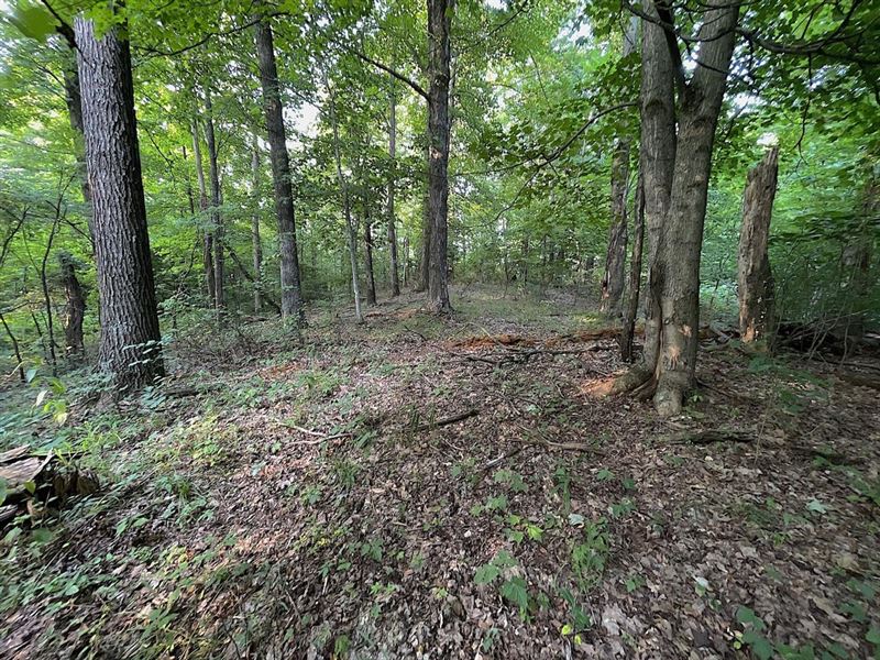 North Branch, 20 Acres, Vinton Co : McArthur : Vinton County : Ohio