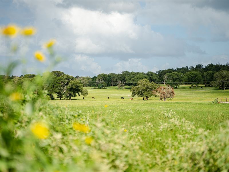 Harwood, TX Acreage : Harwood : Caldwell County : Texas