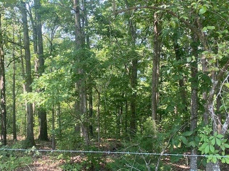 Don't Miss Out On This Gem : Vanzant : Douglas County : Missouri